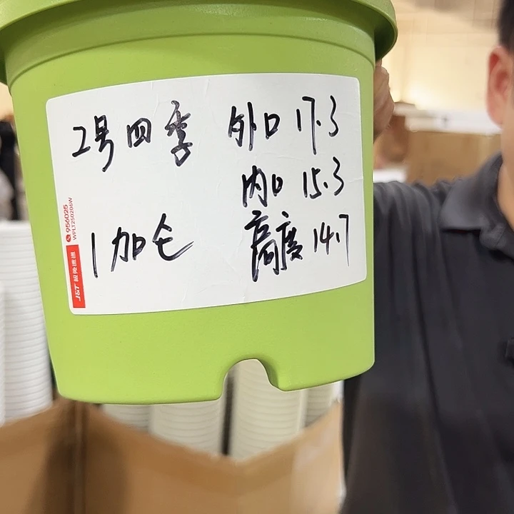 特价2号口17高15果绿色10只无托