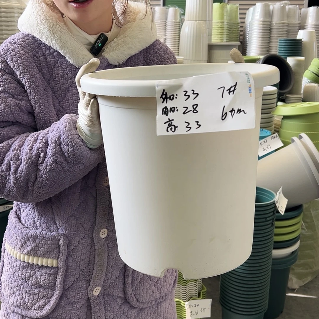 四季盆7#白色5个无托