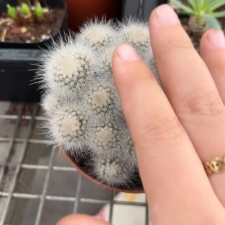 我也不知道我为什么要这样