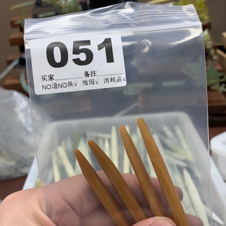 蛇纹石玉发饰合金姜*氏