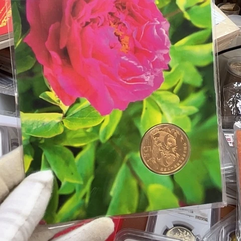 其他普通金属大熊猫春卡，，，，，