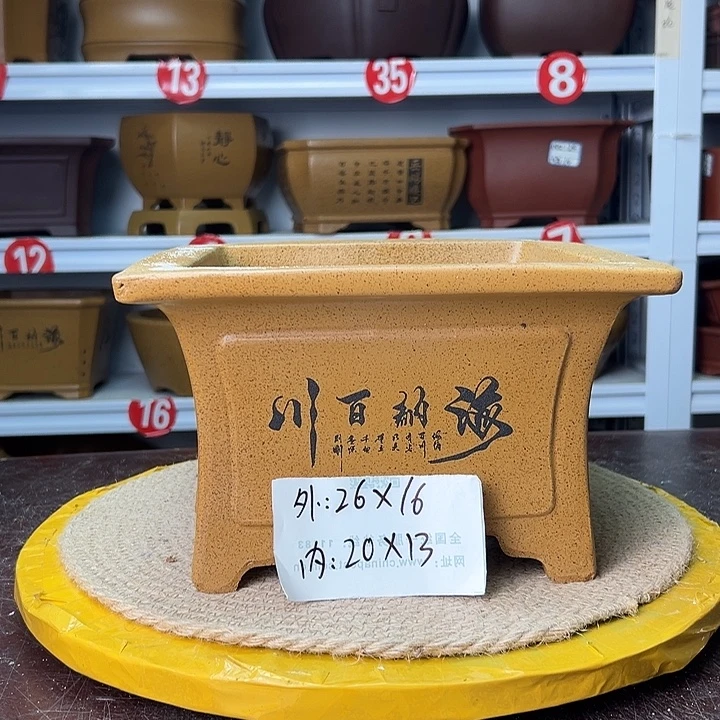 紫砂花盆蛇年大吉
