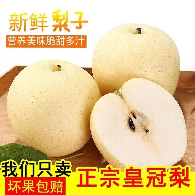 皇冠梨皮薄多汁脆甜新鲜白皮梨实惠好吃