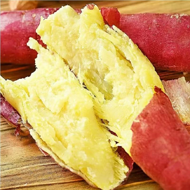 【顺丰包邮】板栗薯沙地天目山红薯黄心板栗当季农家富硒新鲜迷你