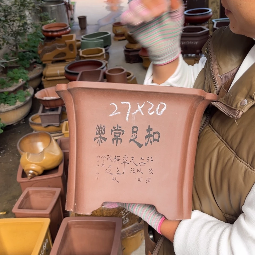 花盆紫砂盆景艺术