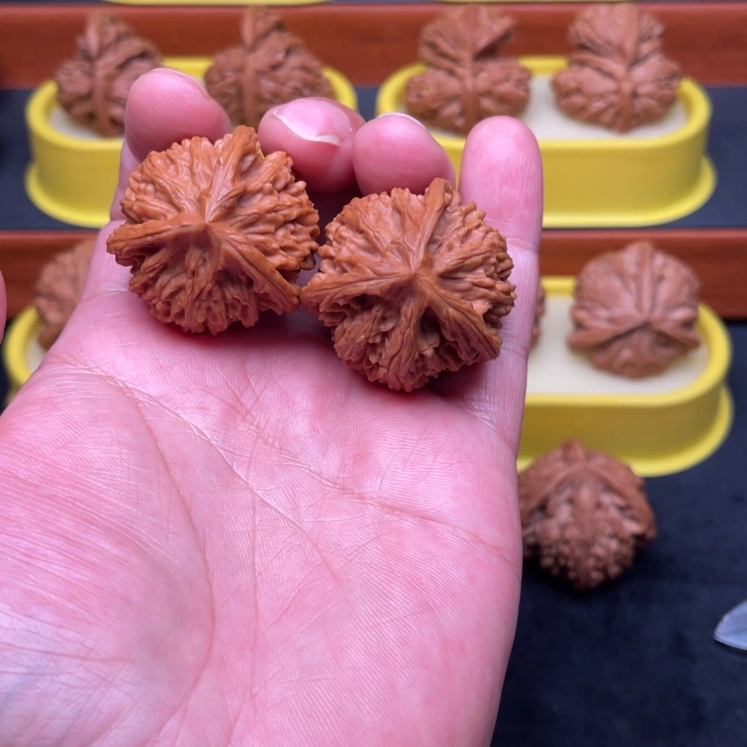 核桃手串/手链玉龙粗筋正奔38