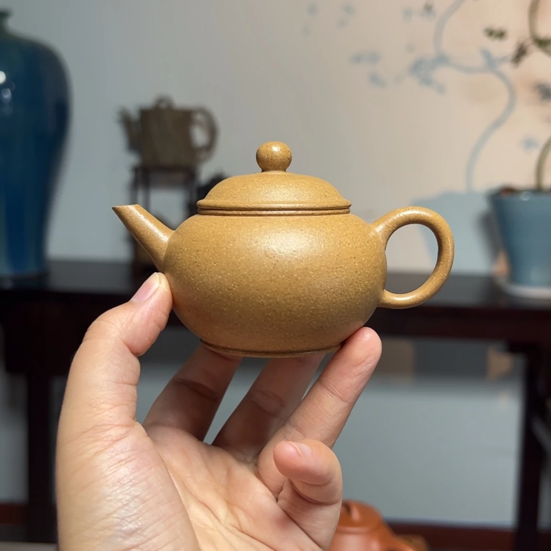 茶壶紫砂花式水平100