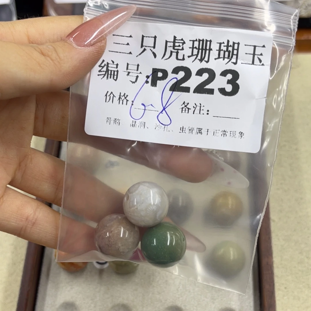 S***s硅化珊瑚（珊瑚玉）h未镶嵌