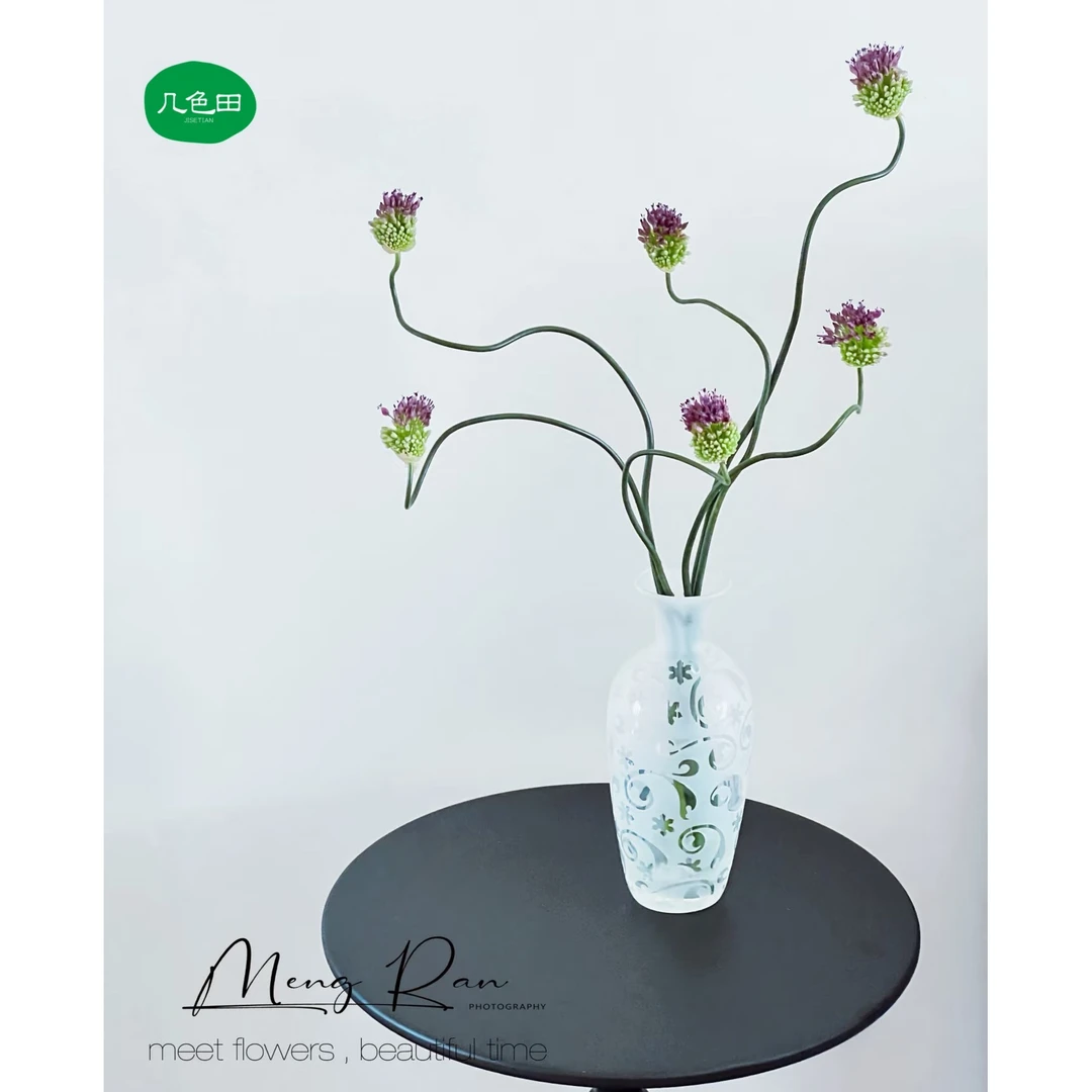 弯葱----弯葱自带线条感