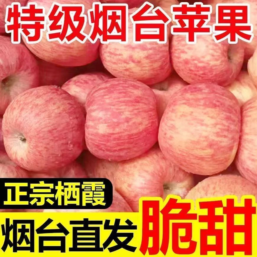 烟台红富士苹果当季新鲜苹果10斤一整箱水果