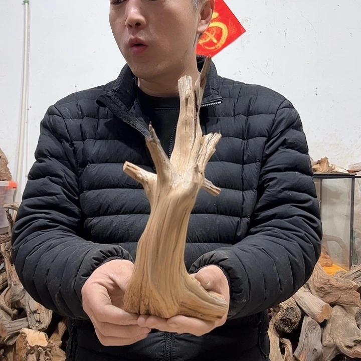 柏木古**香我们的生活也是如此