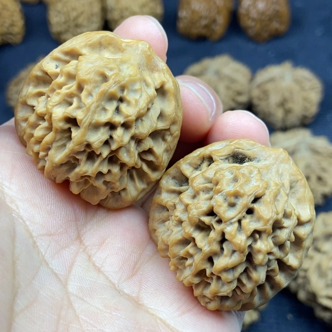 砂**匙秦岭核桃秦闷瑕疵对尖有修练手对11号链接