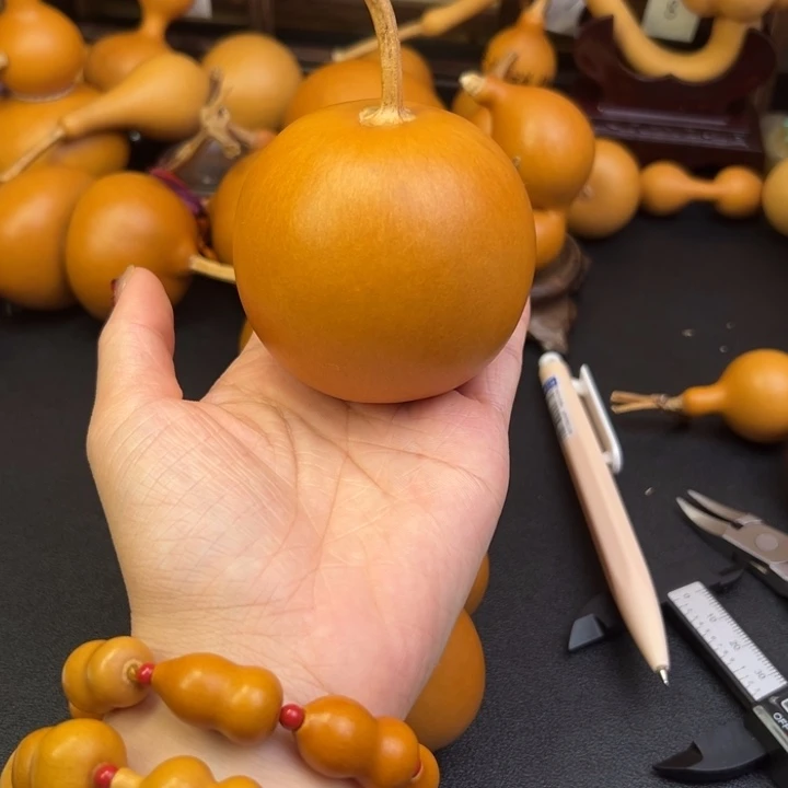 春***青葫芦葫芦葫芦葫芦葫芦