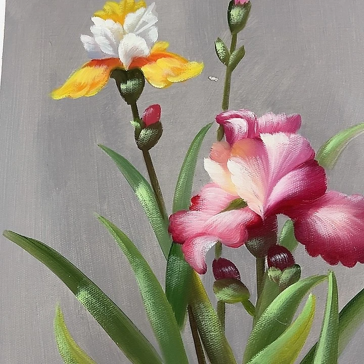 油画p z s r p z s r w y