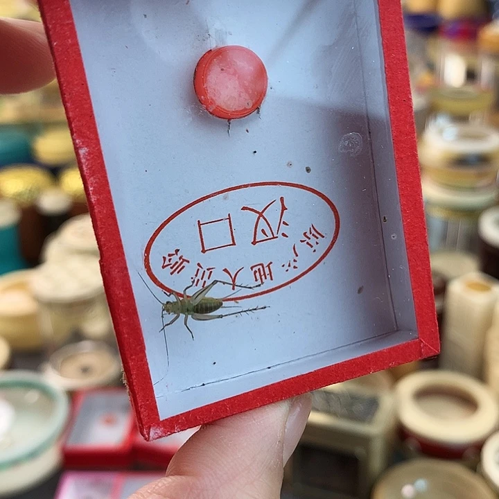 过***a两只断须大黄玲啊啊啊啊