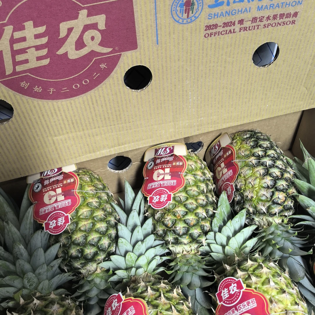 【阿房小时达】佳农凤梨3.5斤左右，首播福利