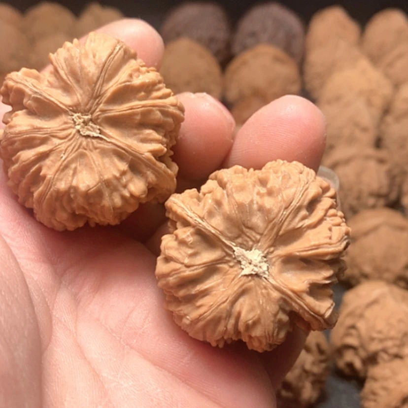 【闪购商品】加****生野生玉