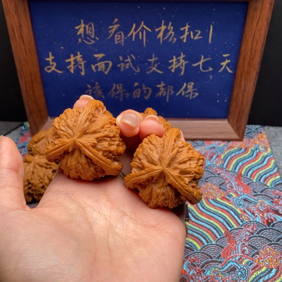 【闪购商品】Z**e白狮