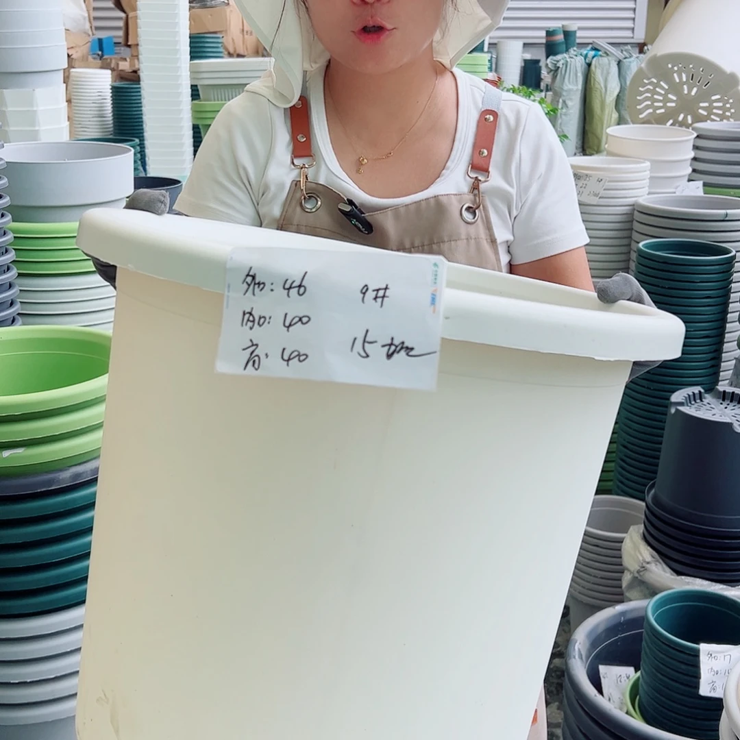 四季盆9#白色4个无托