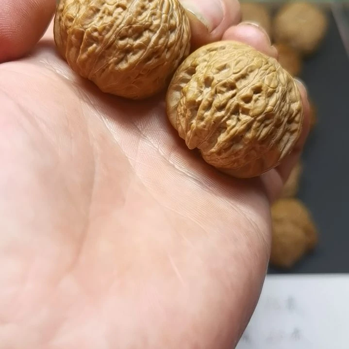 文玩核桃，铁锤妹妹