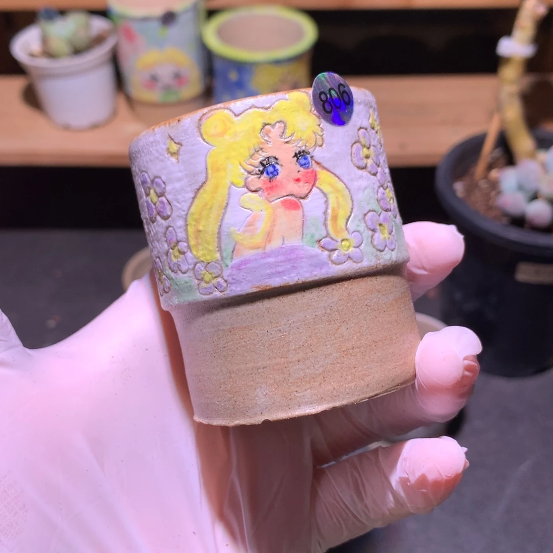 806 美少女花盆。。