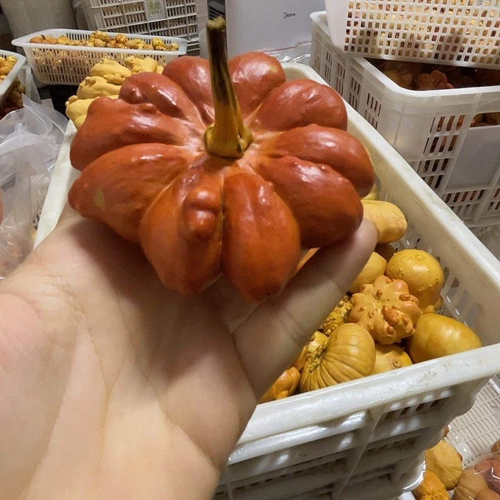 金***子特价葫芦不退不换