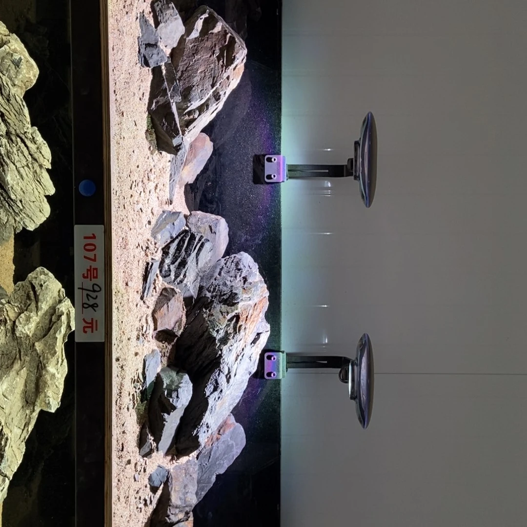 原生缸溪流缸造景107+113不带砂