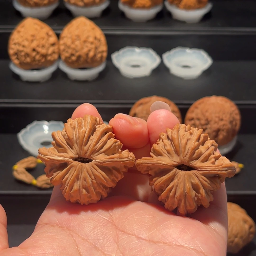 全品，精品，41四座楼220