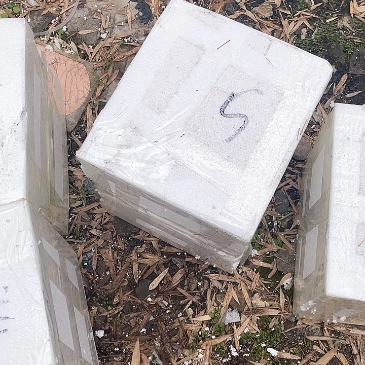 盘花小海5号链接艺术陶瓷