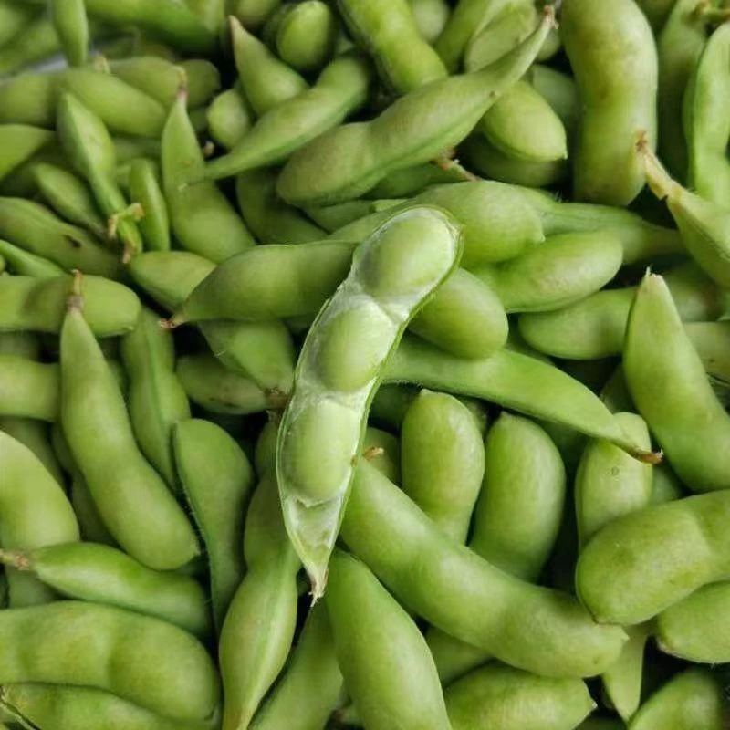 【爆款】江西新鲜带壳毛豆买菜当季青豆毛豆新鲜农家蔬菜自种现摘