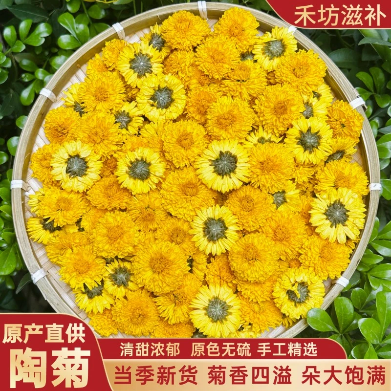 【正宗】陶菊婺源黄山菊花原产直供 无熏硫桃菊搭配枸杞黄芪新货