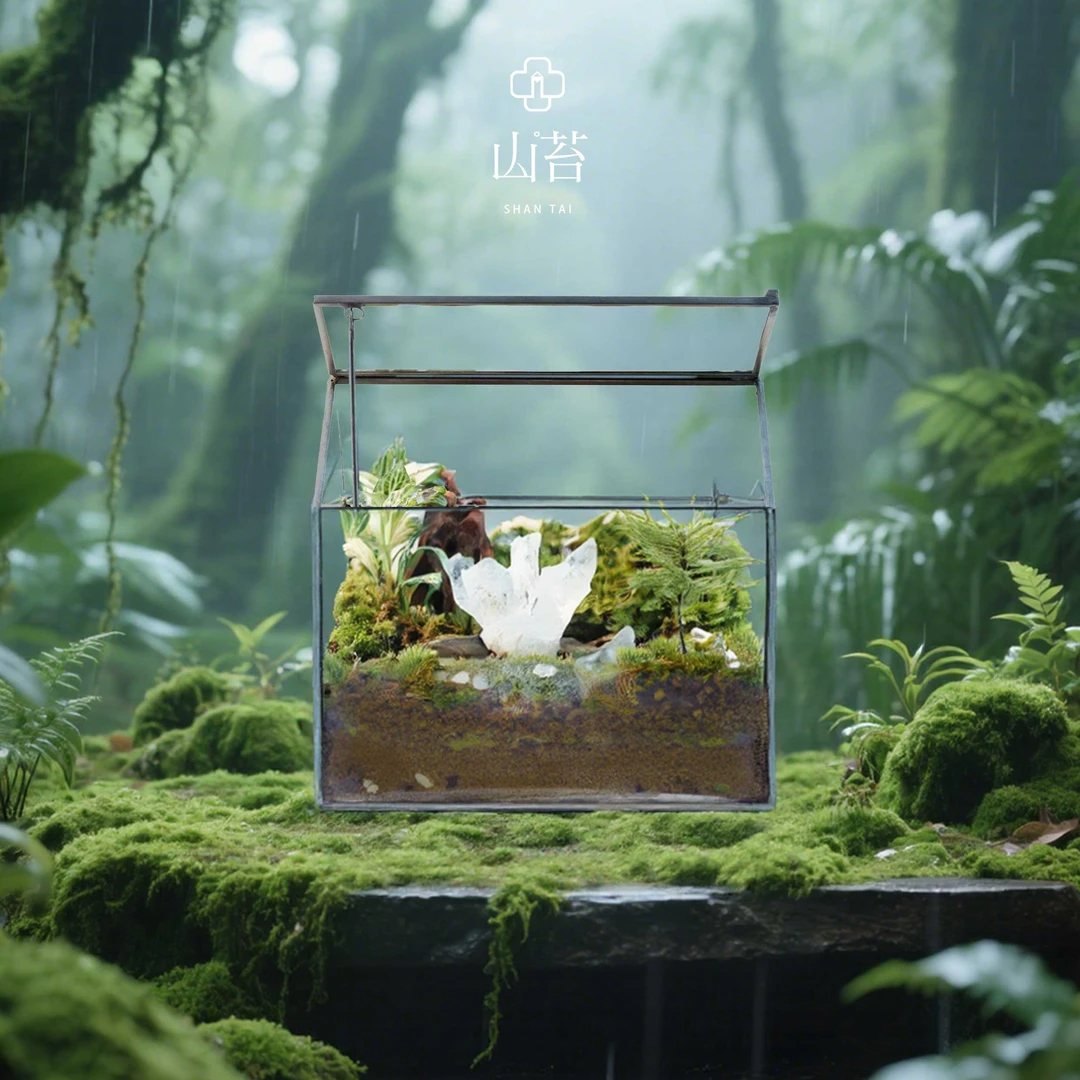 【山苔水晶微景观】懒人植物苔藓生态欧式玻璃花房摆件15*11*16cm
