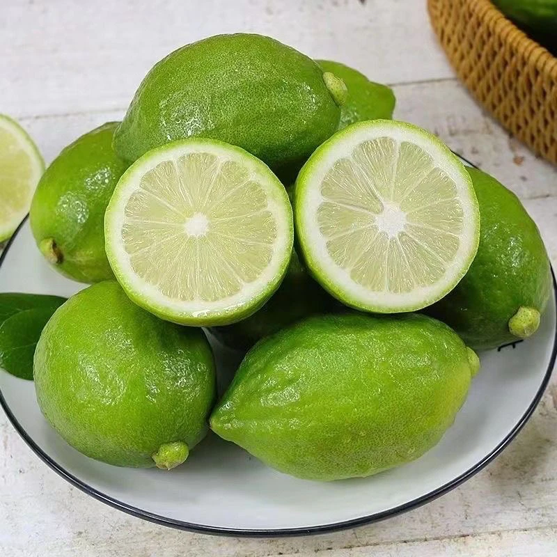 广东无籽香水柠檬新鲜现摘咖啡奶茶店专用水果