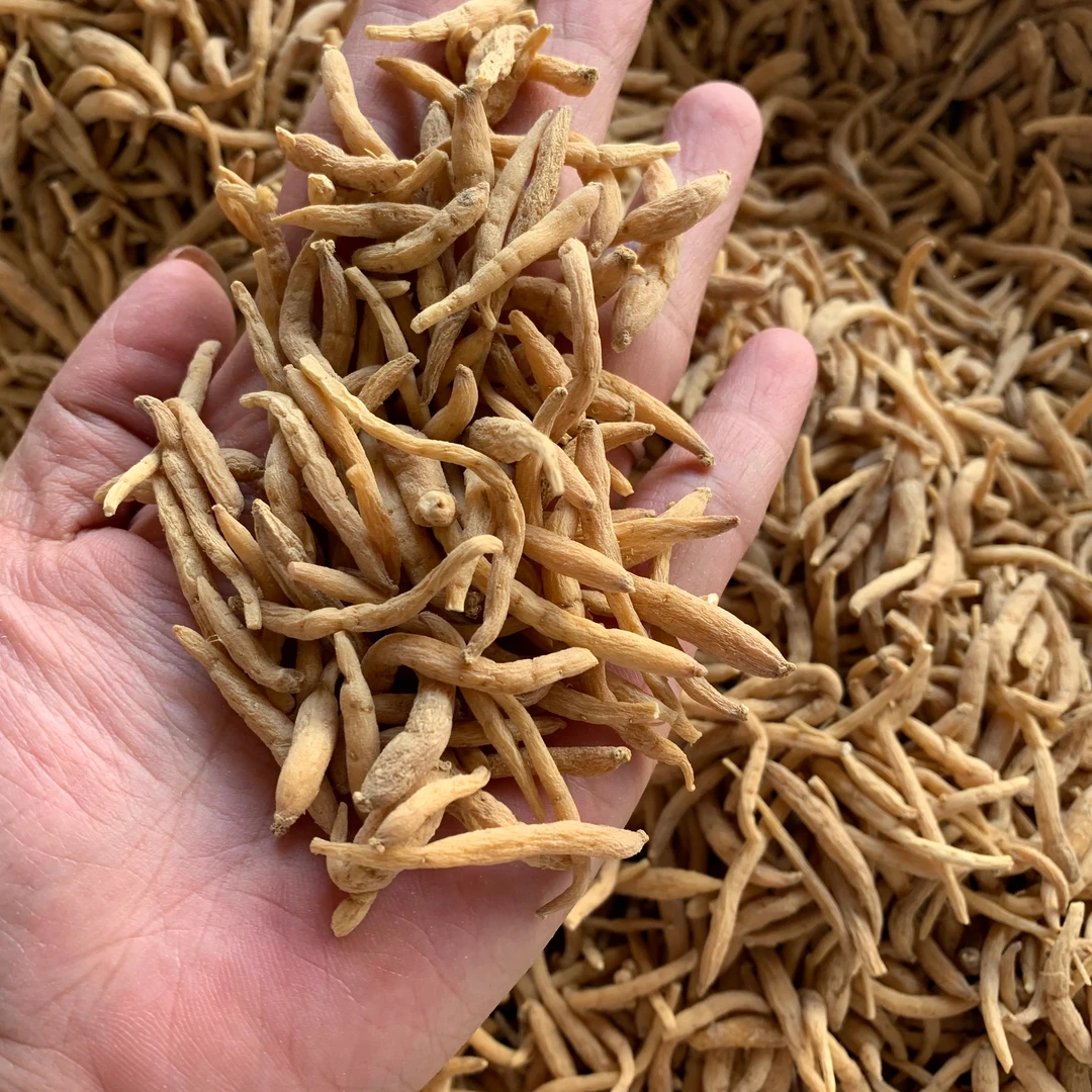 【翠凤】太子参无熏无硫 老少皆用 也叫孩儿参搭配淮山 煲汤 煮水