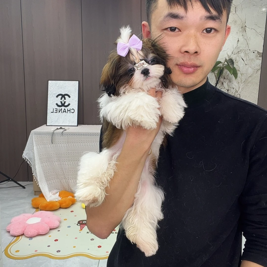红白弟弟五月个月