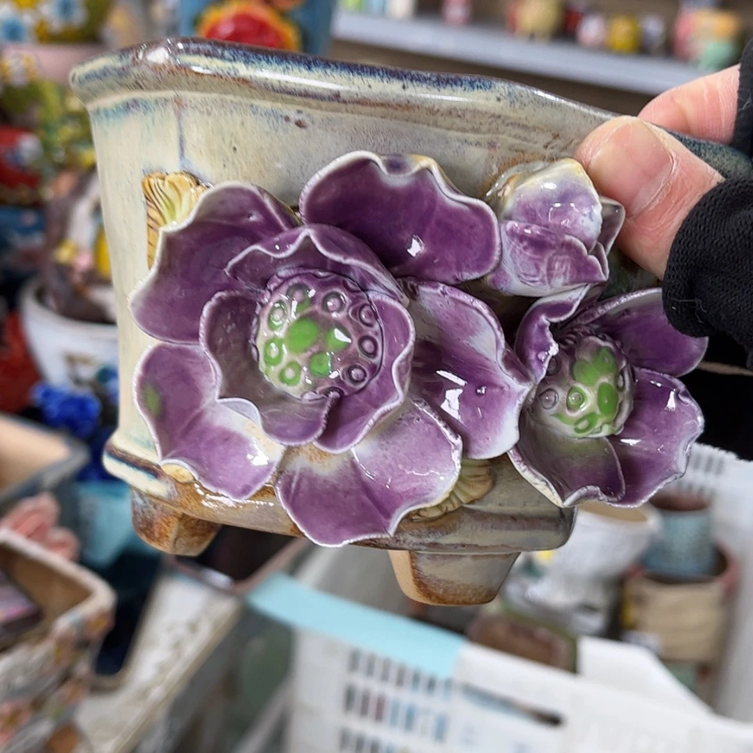 【闪购商品】红陶福利