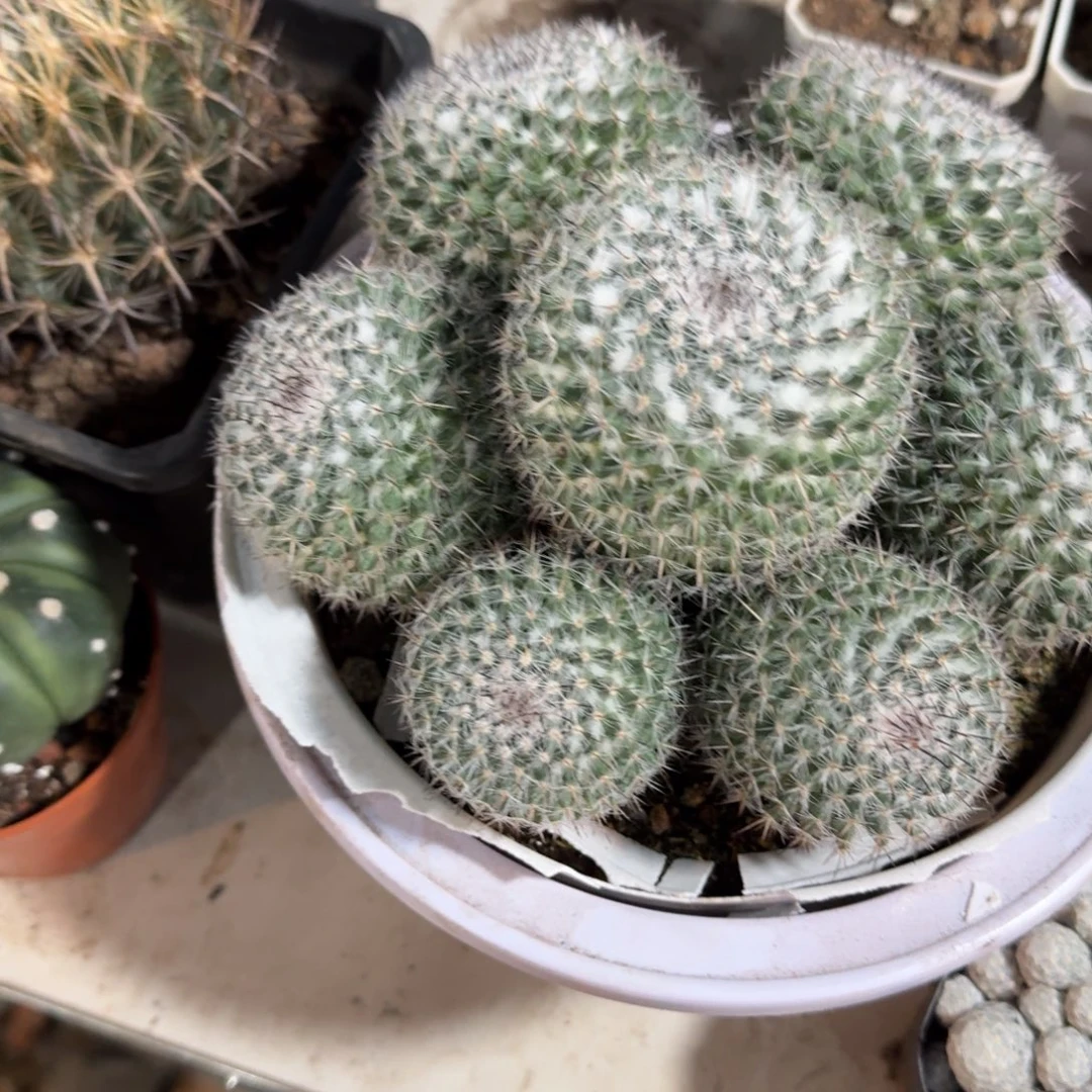 3***7可口可乐可口可乐