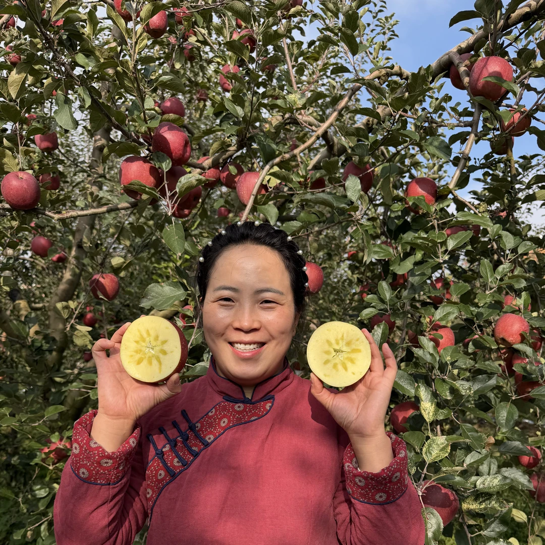 云南昭通《晚熟红富士冰糖心丑苹果》脆甜多汁新鲜采摘果香味浓郁