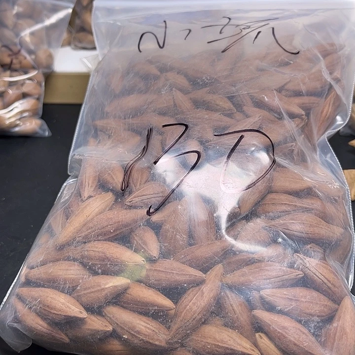 戳***坏手串/手链橄榄核1112