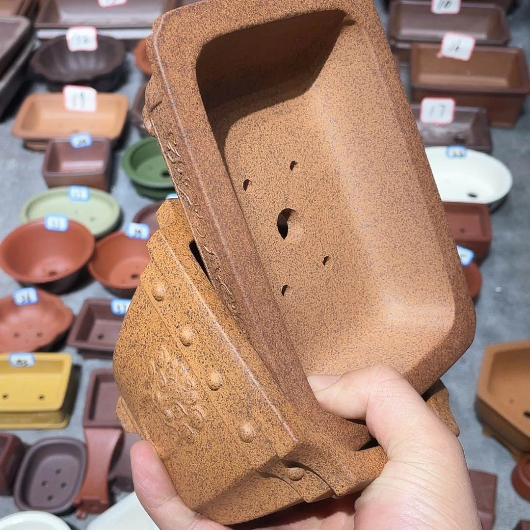 胖**肉紫砂小盆4个还原烧