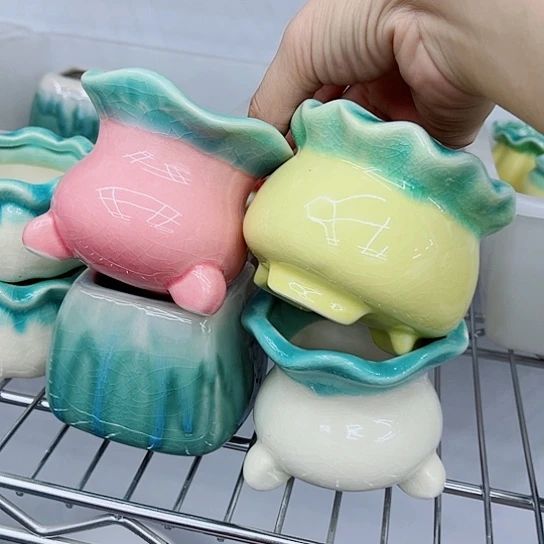 多肉绿植陶瓷花盆9.9包邮，有空