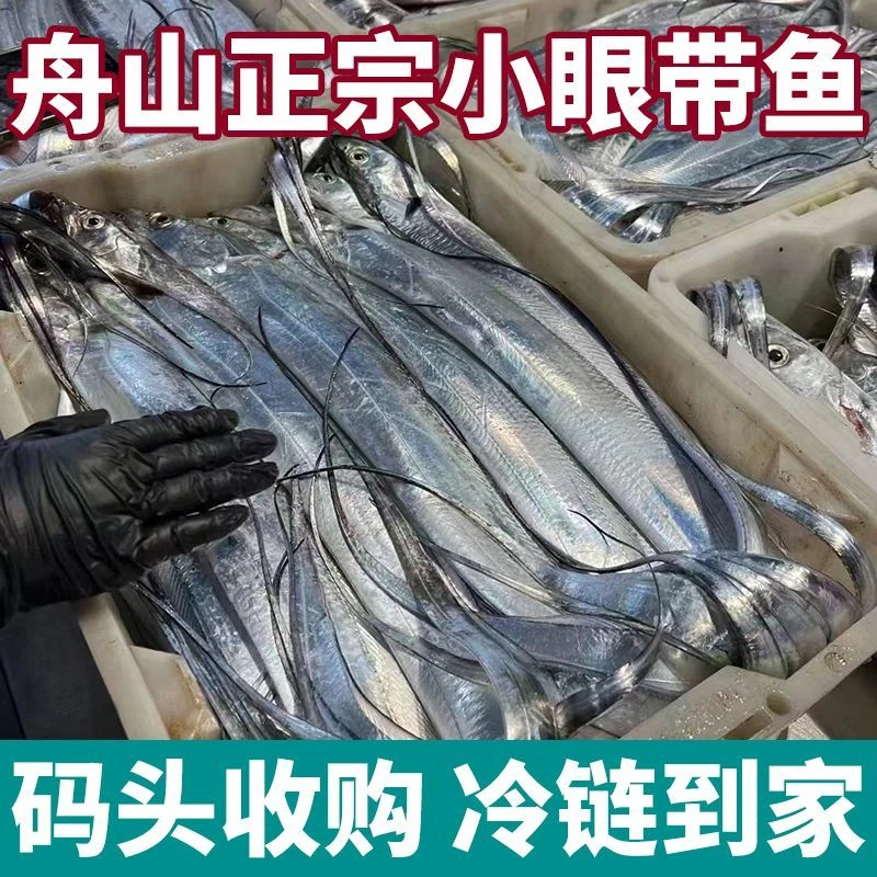 （雷达网）净8.5-9斤破肚掉鳞窄刀速冻发货新鲜东海小眼油刀鱼（含冰10斤)30条左右天然品质宽窄不同海鲜带鱼
