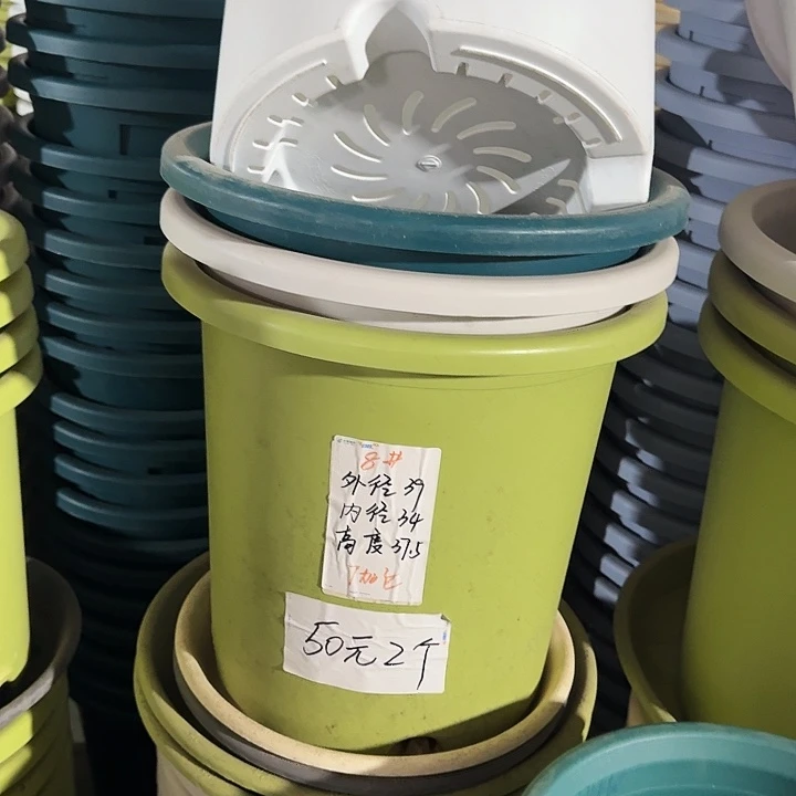 四季8#口径39果绿5个无托