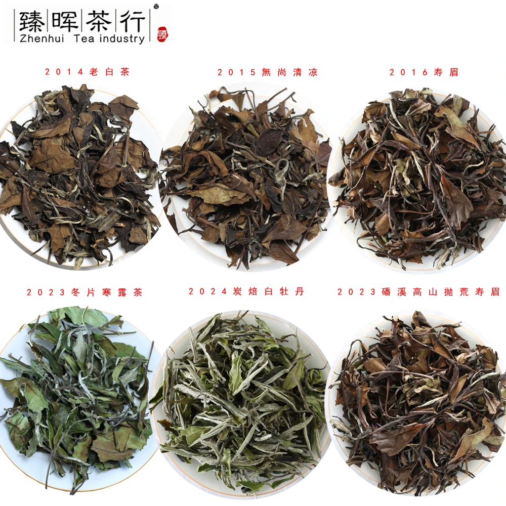 福鼎白茶试喝装不同年份产区传统白茶品鉴品质好茶试喝陈年老白茶