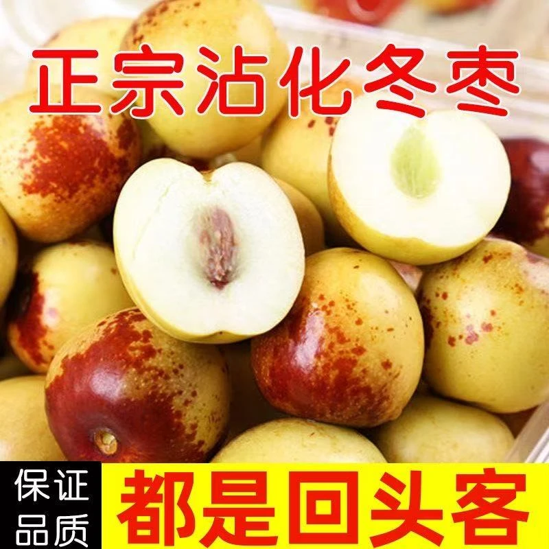 山东沾化冬枣特大特级果孕妇新鲜水果现摘现发非山西陕西冬枣