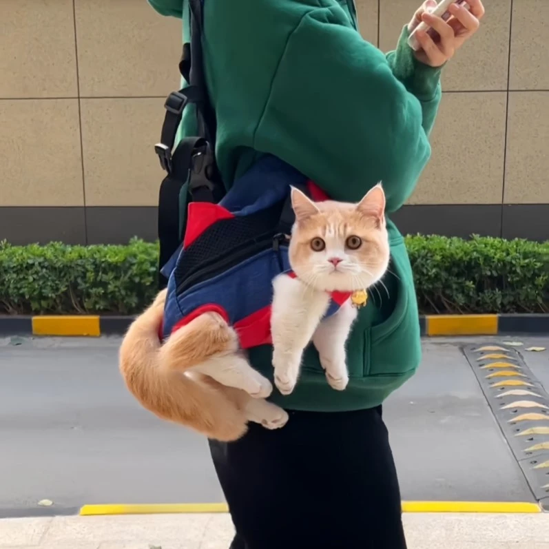 猫咪外出双肩包便携胸背带宠物背包猫包背猫神器小狗携带胸前狗包