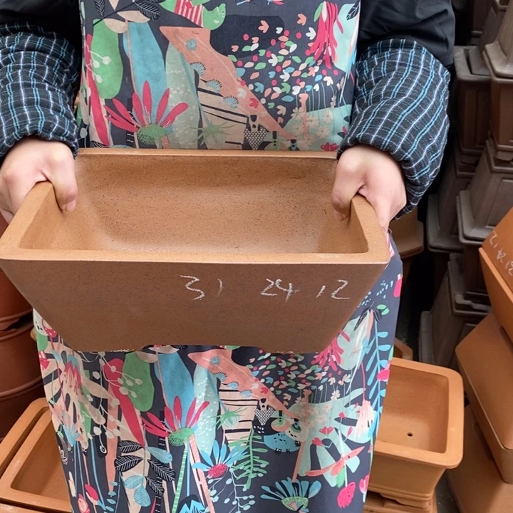 紫砂花盆只顾看剧