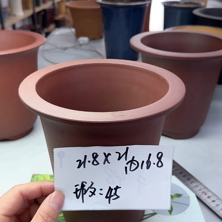 紫砂222222222222222222