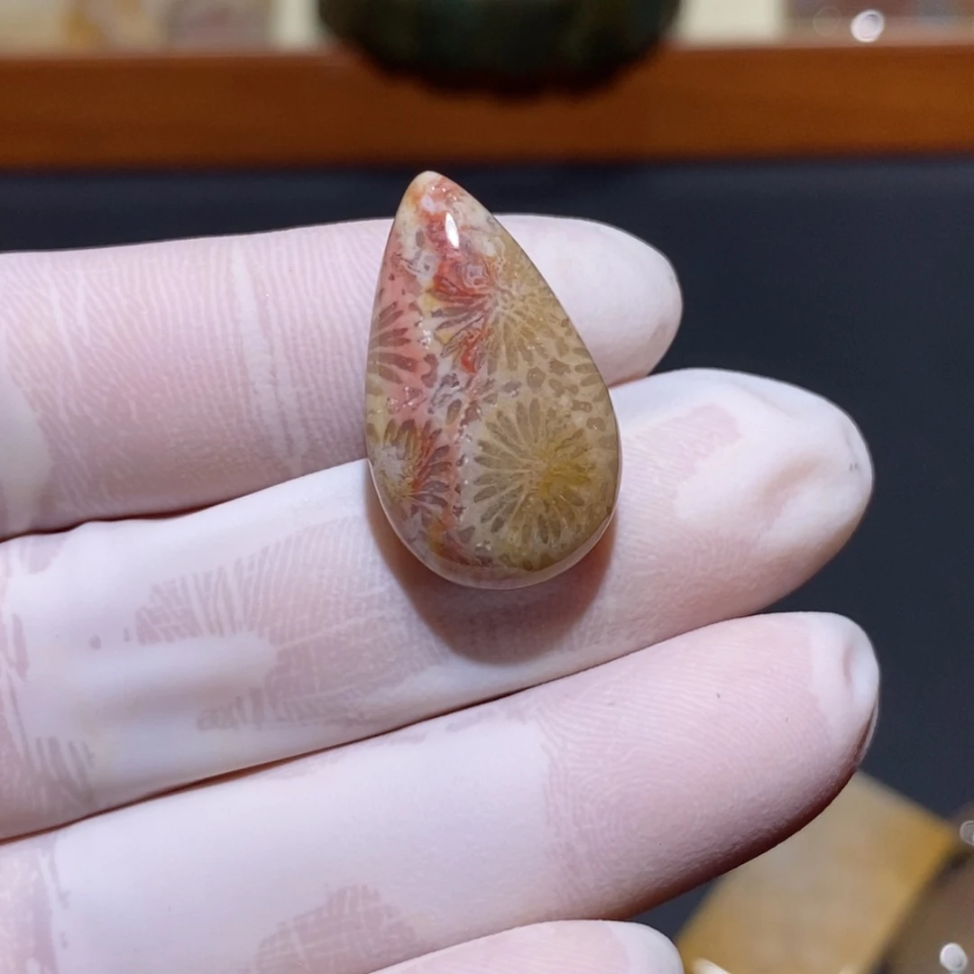 【闪购商品】未镶嵌珊瑚玉硅化玉