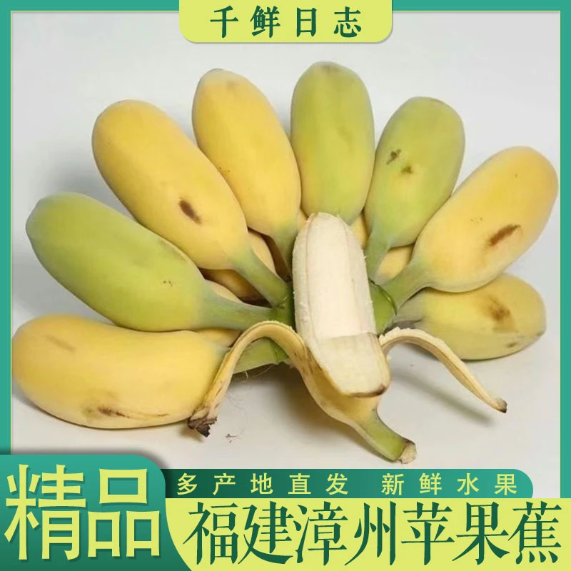 福建漳州苹果蕉新鲜应季水果自然熟甜糯水果带箱3斤